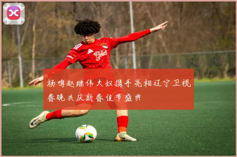 杨鸣赵继伟夫妇携手亮相辽宁卫视春晚共庆新春佳节盛典