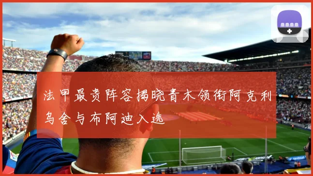 法甲最贵阵容揭晓青木领衔阿克利乌舍与布阿迪入选