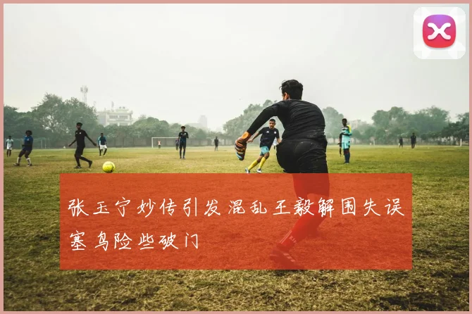 张玉宁妙传引发混乱王毅解围失误塞鸟险些破门