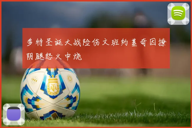 多特圣诞大战险伤文班约基奇因撩阴腿怒火中烧