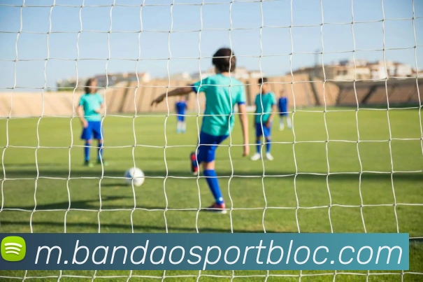 半岛足球体育发展历程